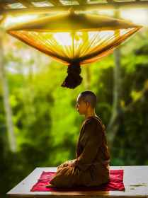 adult asian bald buddhism